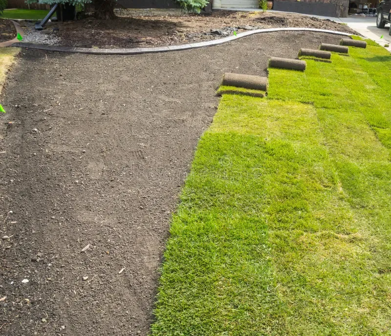 Sod Installation for Amerigreen Lawn & Landscape in Duluth, GA