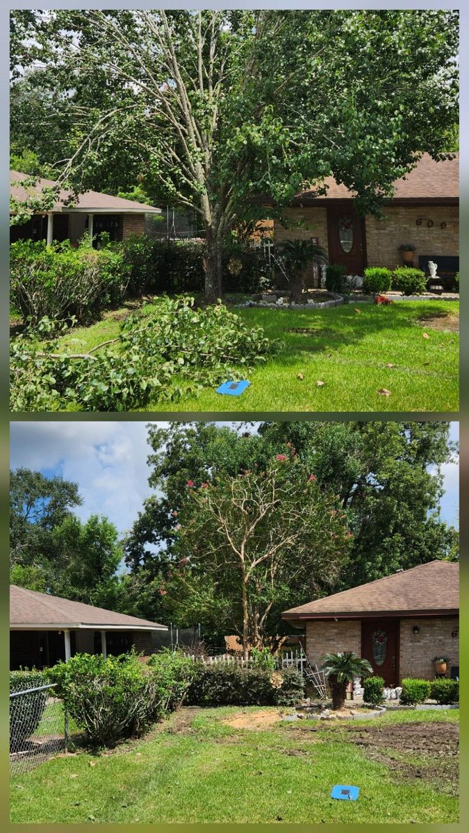 Tree Removal for Ken's Elite Cutters LLC  in Breaux Bridge, LA