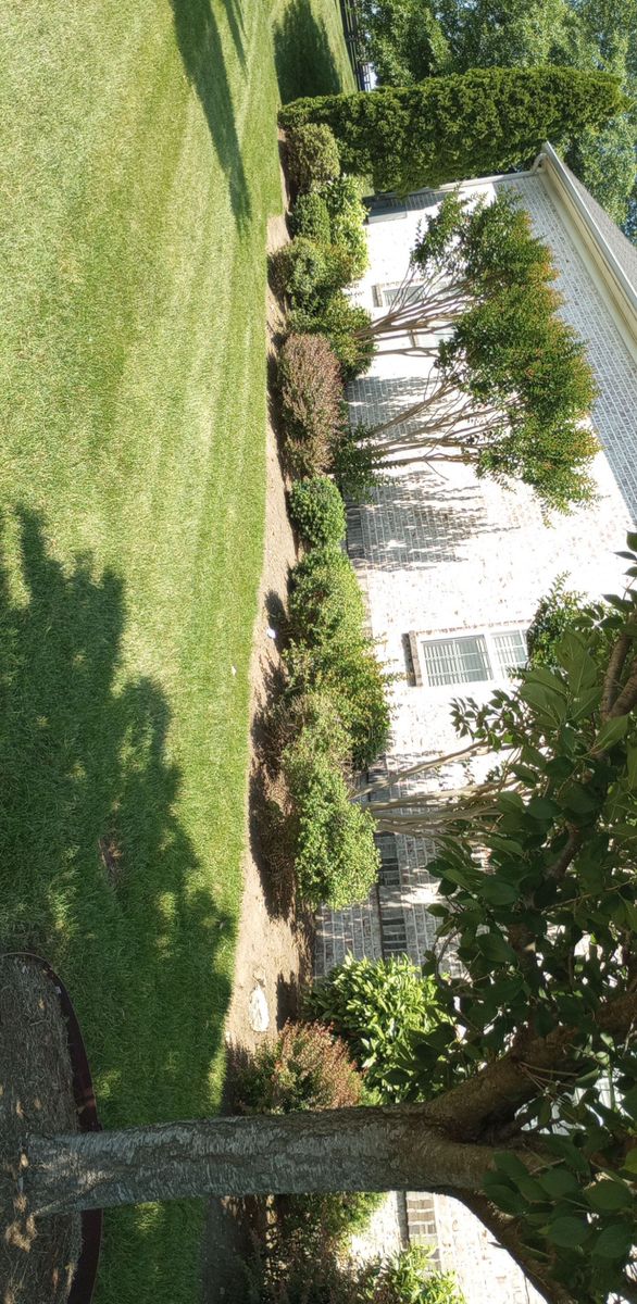 Exterior Painting for Small Town HandyMen in Cross Plains, TN