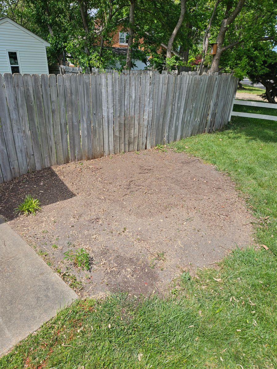 Stump Grinding for Anchor & Grind Stump in Chesapeake, VA