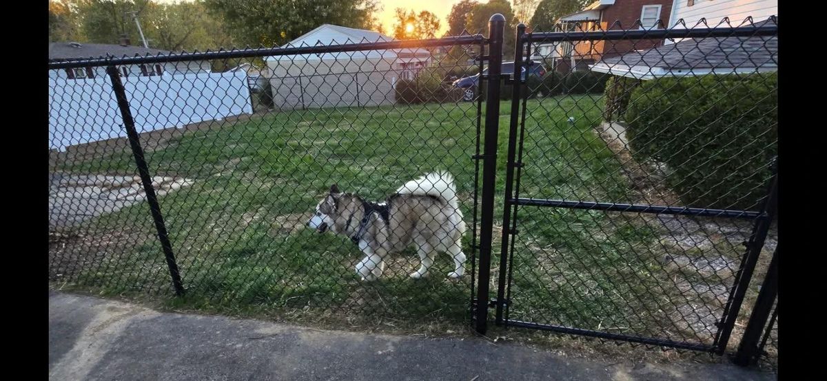 Chainlink Fences for Backyard Fence Solutions LLC in Uniontown, PA