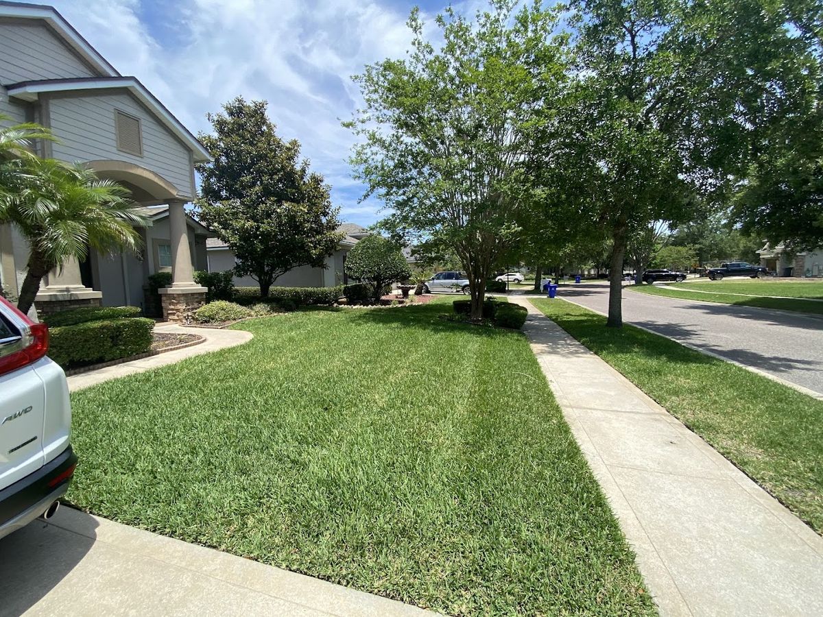 Tree Removal for F & F Lawn & Landscaping LLC in Crescent City, FL