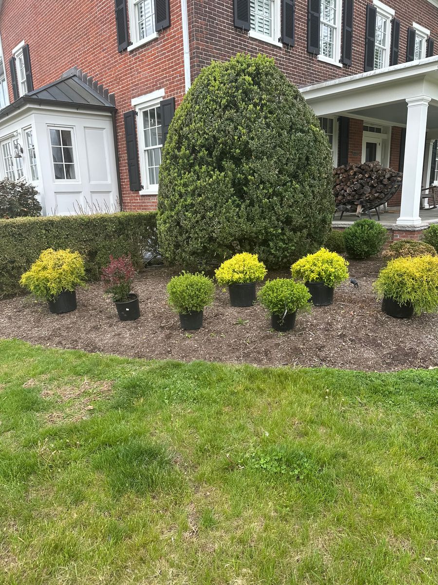 Landscape Design for Green Way Landscape and Building Maintenance in Princeton, NJ