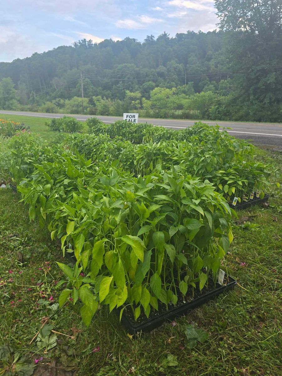 Landscaping Supply for Down Home Landscaping in Stillwater, PA