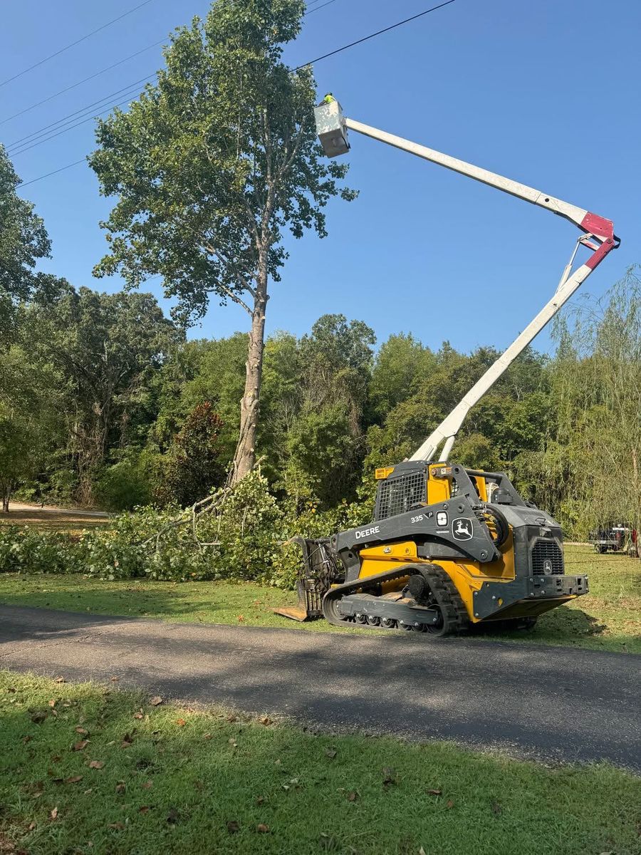 Tree Removal for Simmons land works in Sardis,, TN