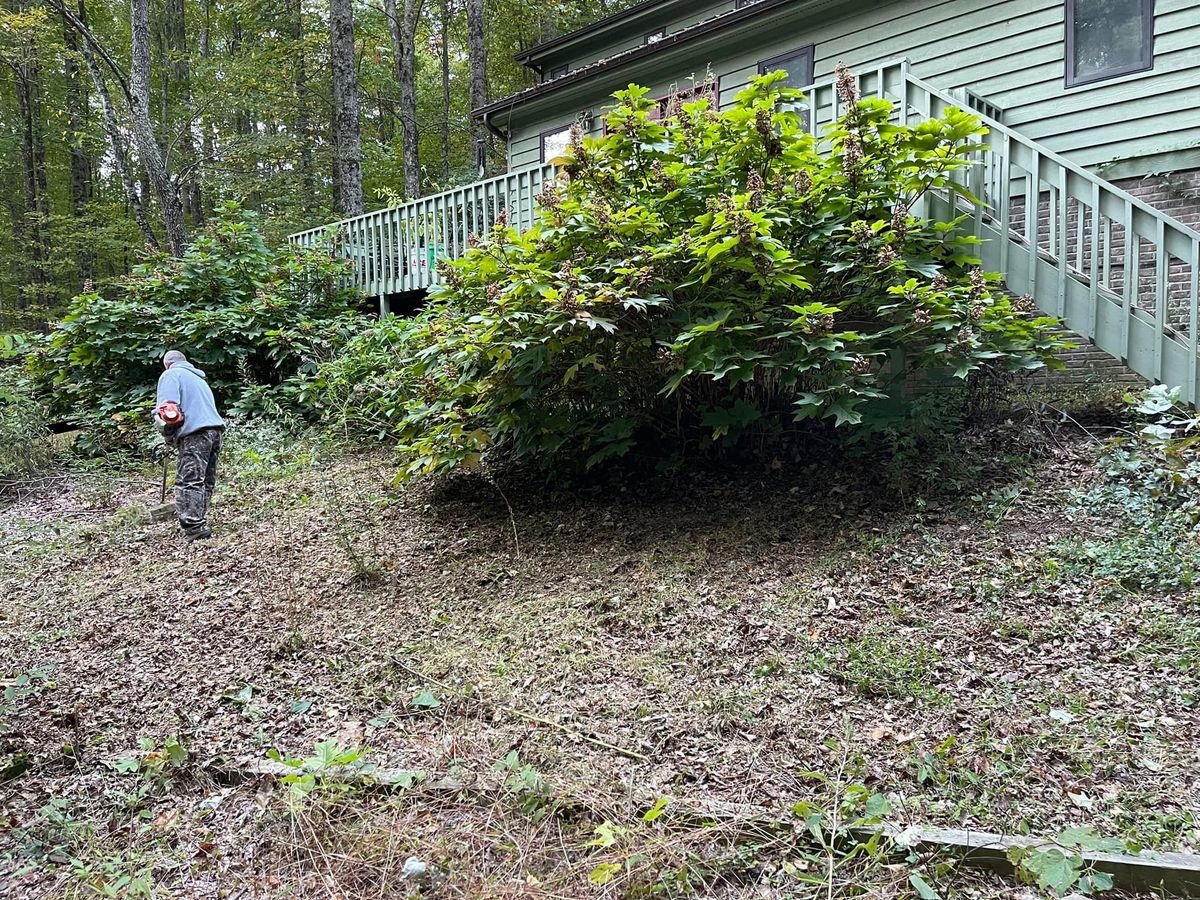 Shrub Trimming for Richards Lawn and More in Richmond,  KY