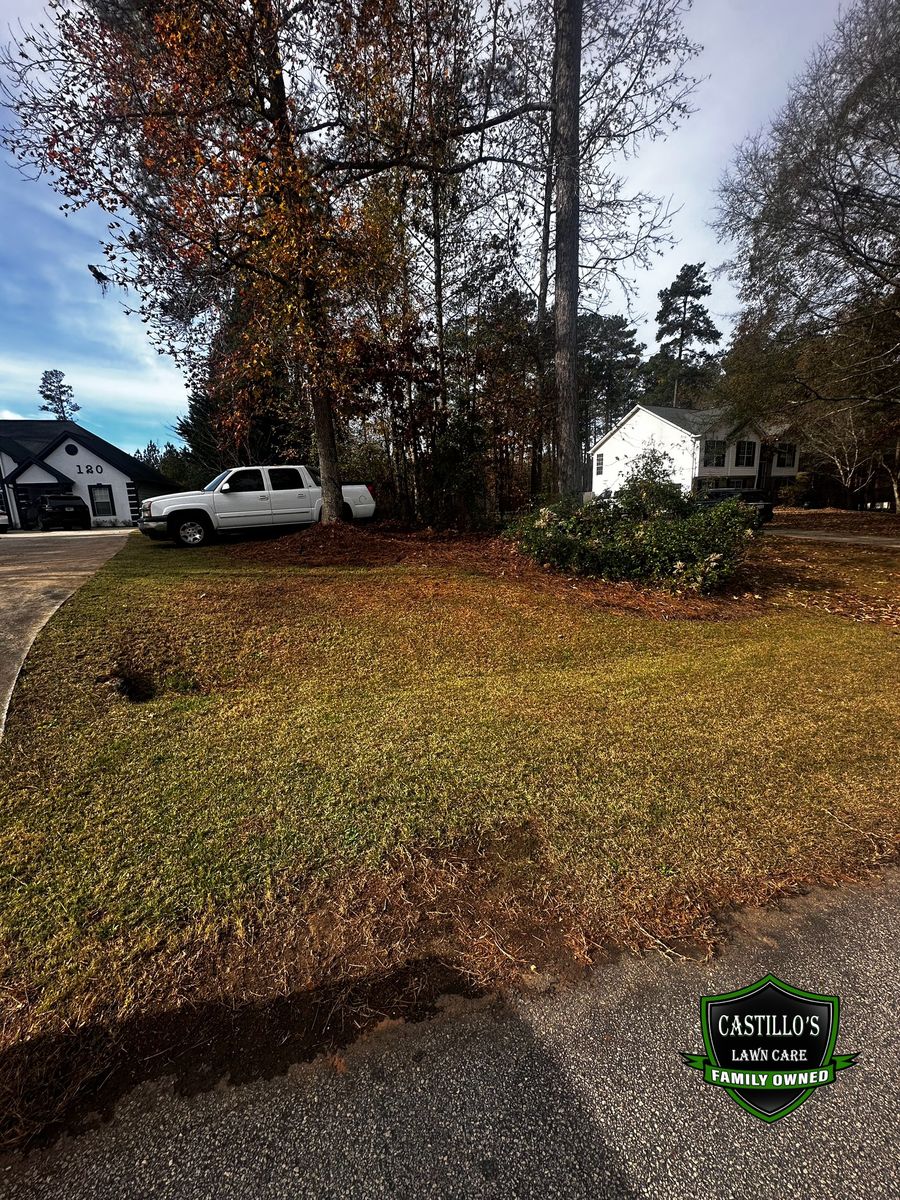 Fall Clean Up for Castillo’s Lawn Care in Monroe, GA