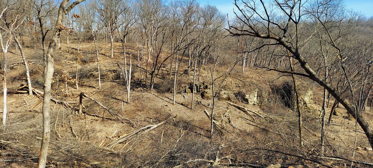 Large-Scale Mowing & Vegetation Management for Bluffside Forestry in Cedar Rapids, IA