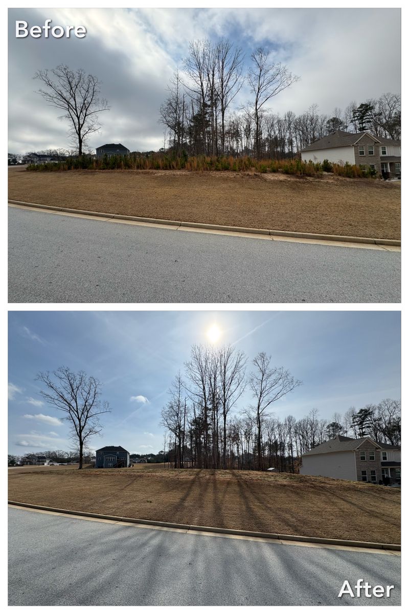 Brush Cutting and Removal for Fayette Property Solutions in Fayetteville, GA