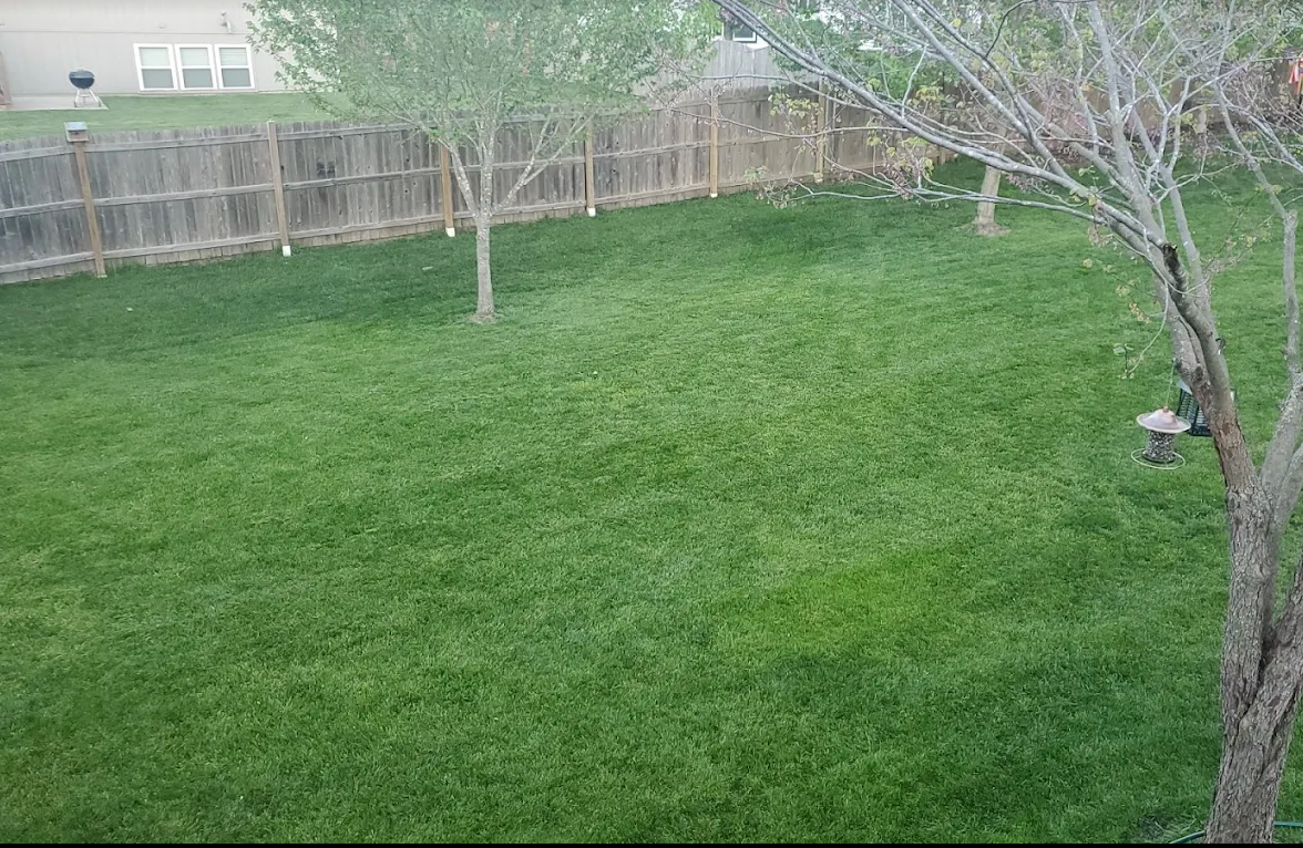 Weed Control for Chief Lawn Care in Lee's Summit, MO