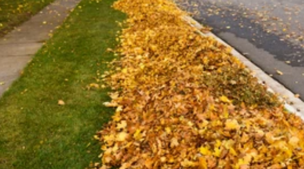 Leaf Pick Up for Stafford.Works in Hendricks County, IN 