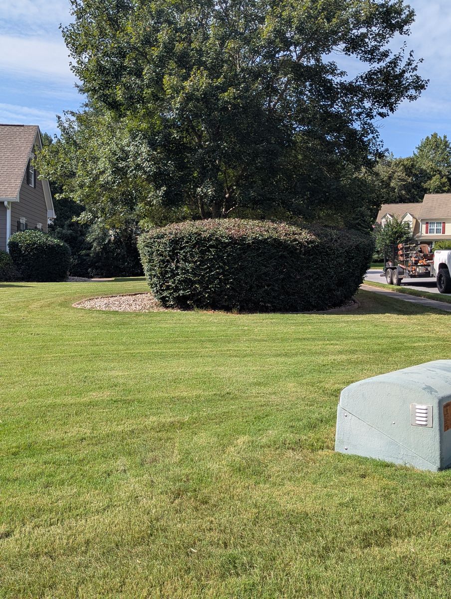 Shrub Trimming for Fantastic Lawn Care LLC in Fayetteville, GA