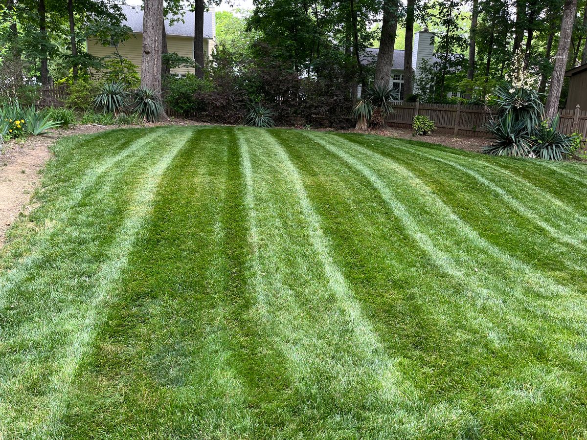 Mowing for Sage Green Lawn Care in Greensboro,  NC