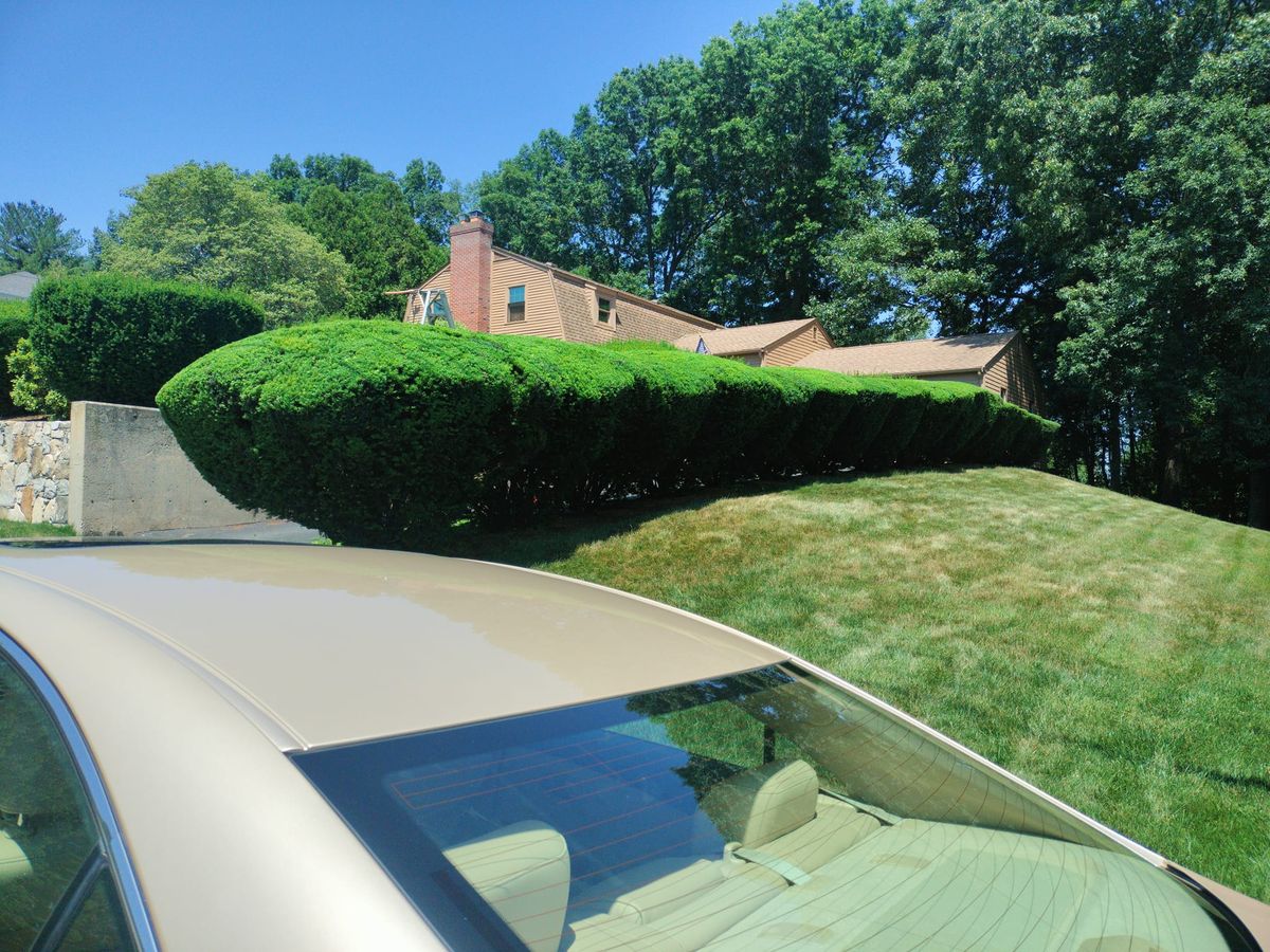 Shrub Trimming for CHACH Landscaping & Construction in Providence, RI