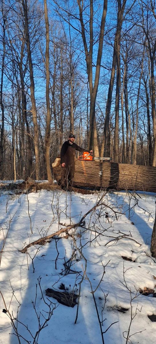 Timber Management for God's Country Timber Management in Hillsdale, MI