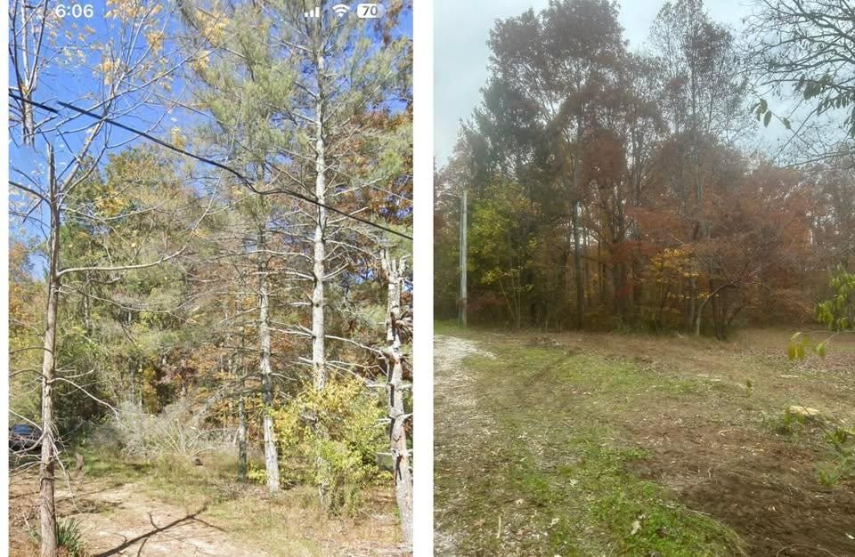 Storm Clean Up for McBee’s Tree Service in Sewanee, TN