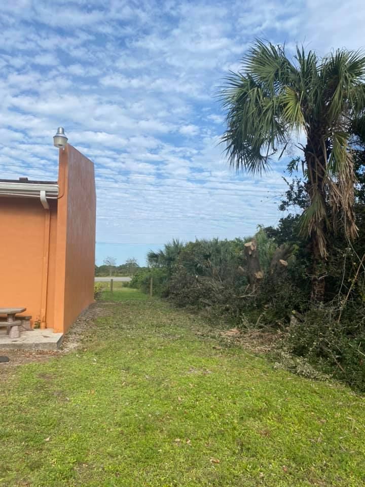 Tree Trimming for Alpha Trees Service and Property Management in Port Charlotte, FL