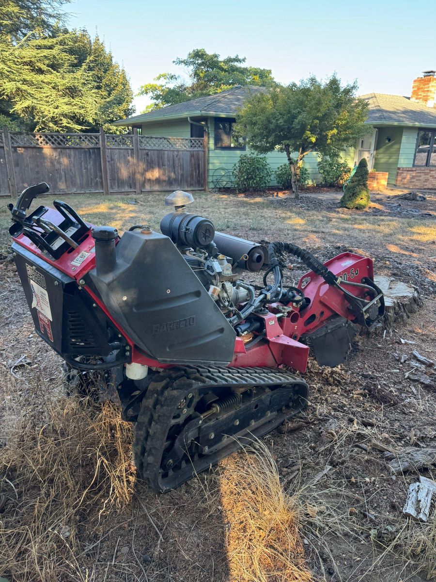 Tree Removals for Willamette Landscaping and Tree Services in Albany, OR
