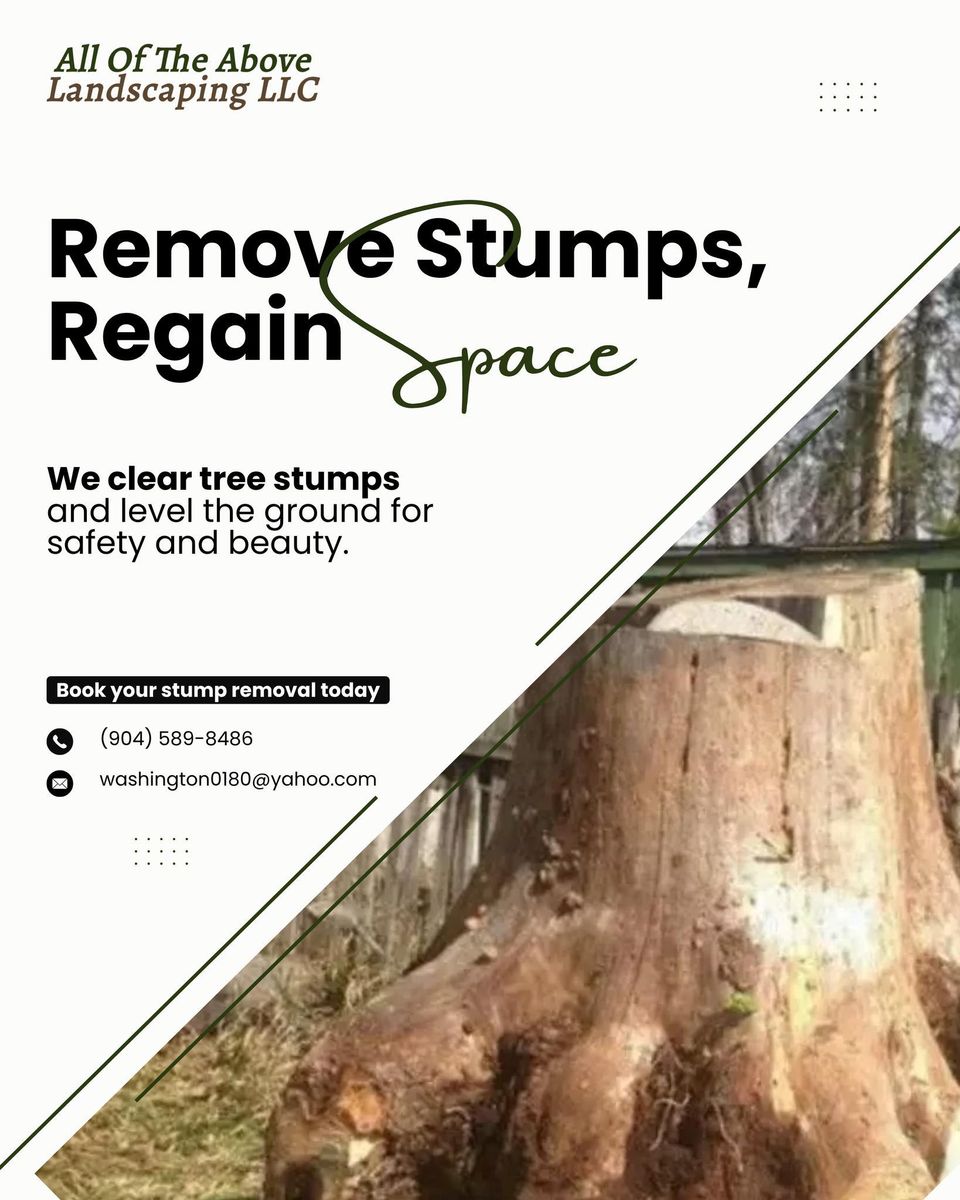 Tree Trimming & Removal for All of the Above Landscaping in Orange Park, FL