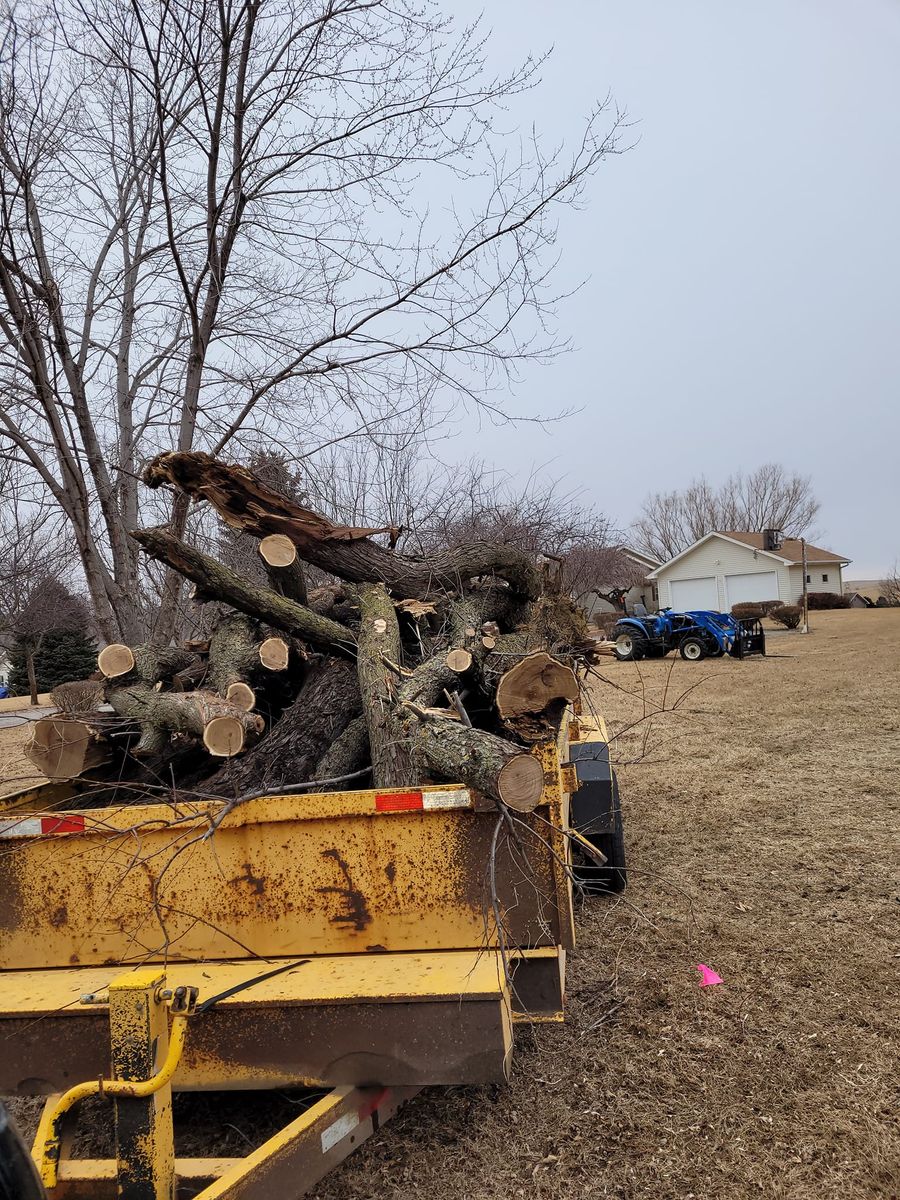 Tree Removal for Uprooted LLC in Norfolk, NE