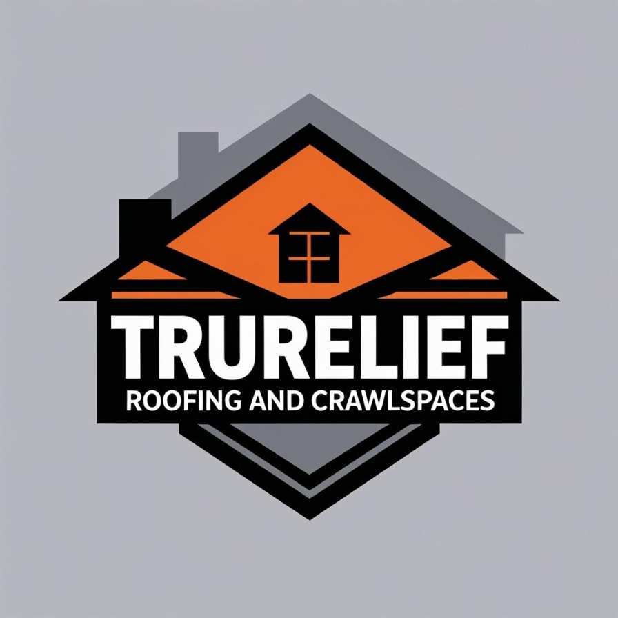 Roof and Crawlspace Inspections for Trurelief Roofing & Crawlspace LLC in Concord, NC