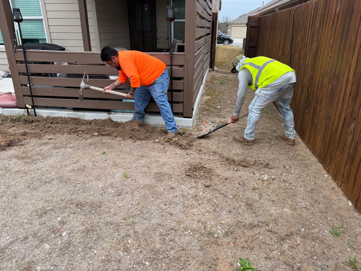 Tree Trimming Care for DR Landscape in San Antonio, TX