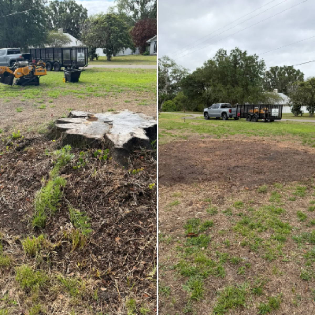 Stump Removal for Greene Acres Stump Grinding in Plant City, FL