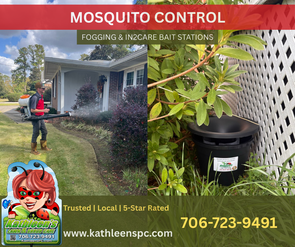 Lawn Care for Kathleen's Lawn & Shrub Care in Augusta, GA
