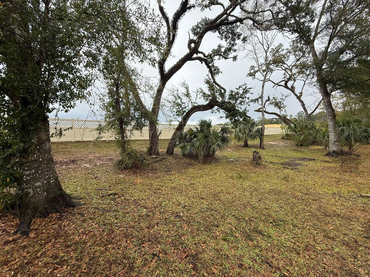 Fall Clean Up for Kramer & Son’s Property Maintenance in Hudson, FL