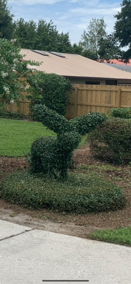 Shrub Trimming for MyerScapes Environmental LLC in Mulberry, FL