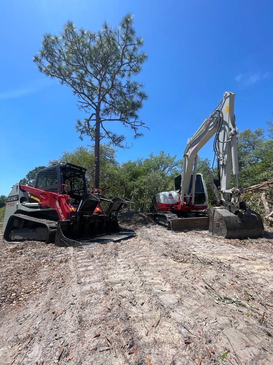 Land Clearing for POZ Property Solutions in Tampa, FL