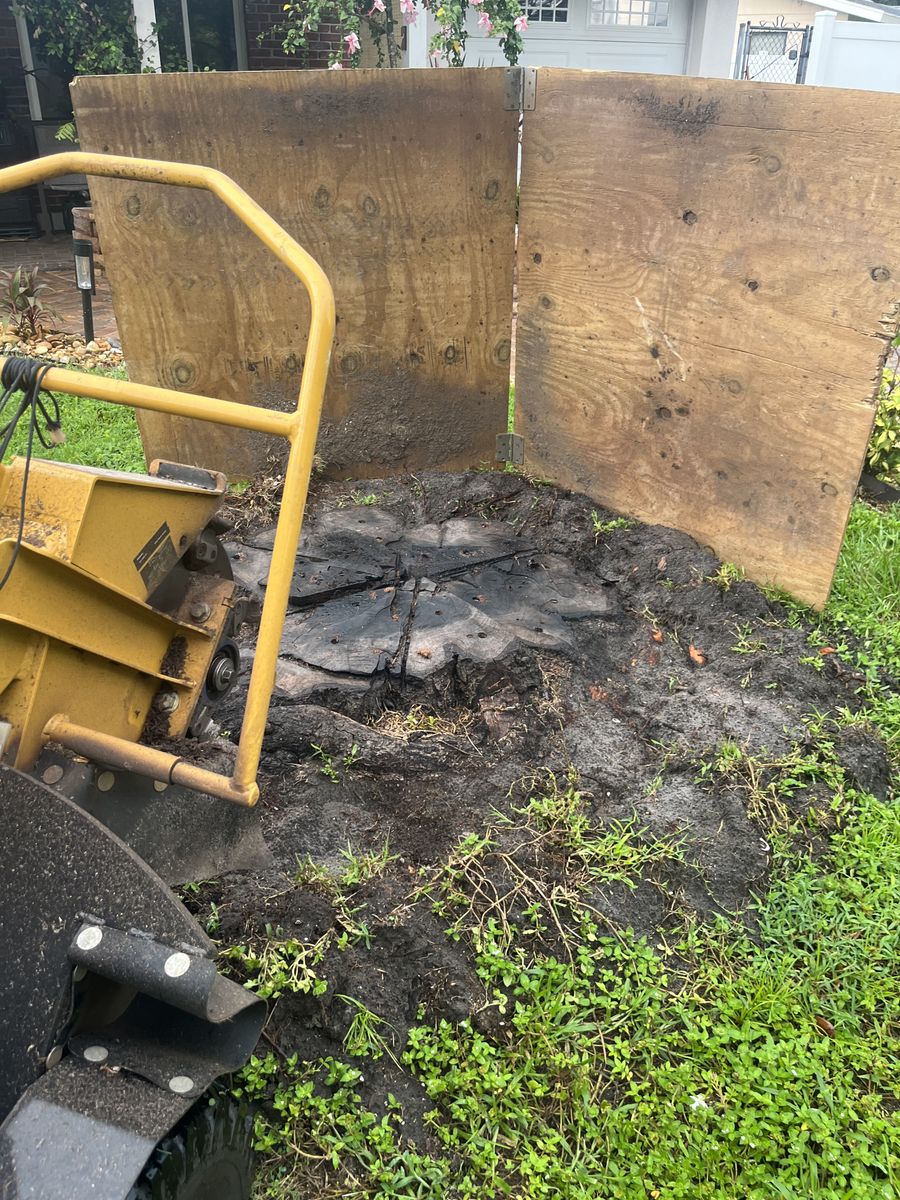 Stump Removal for KB’s Stump Removal in Seminole, FL