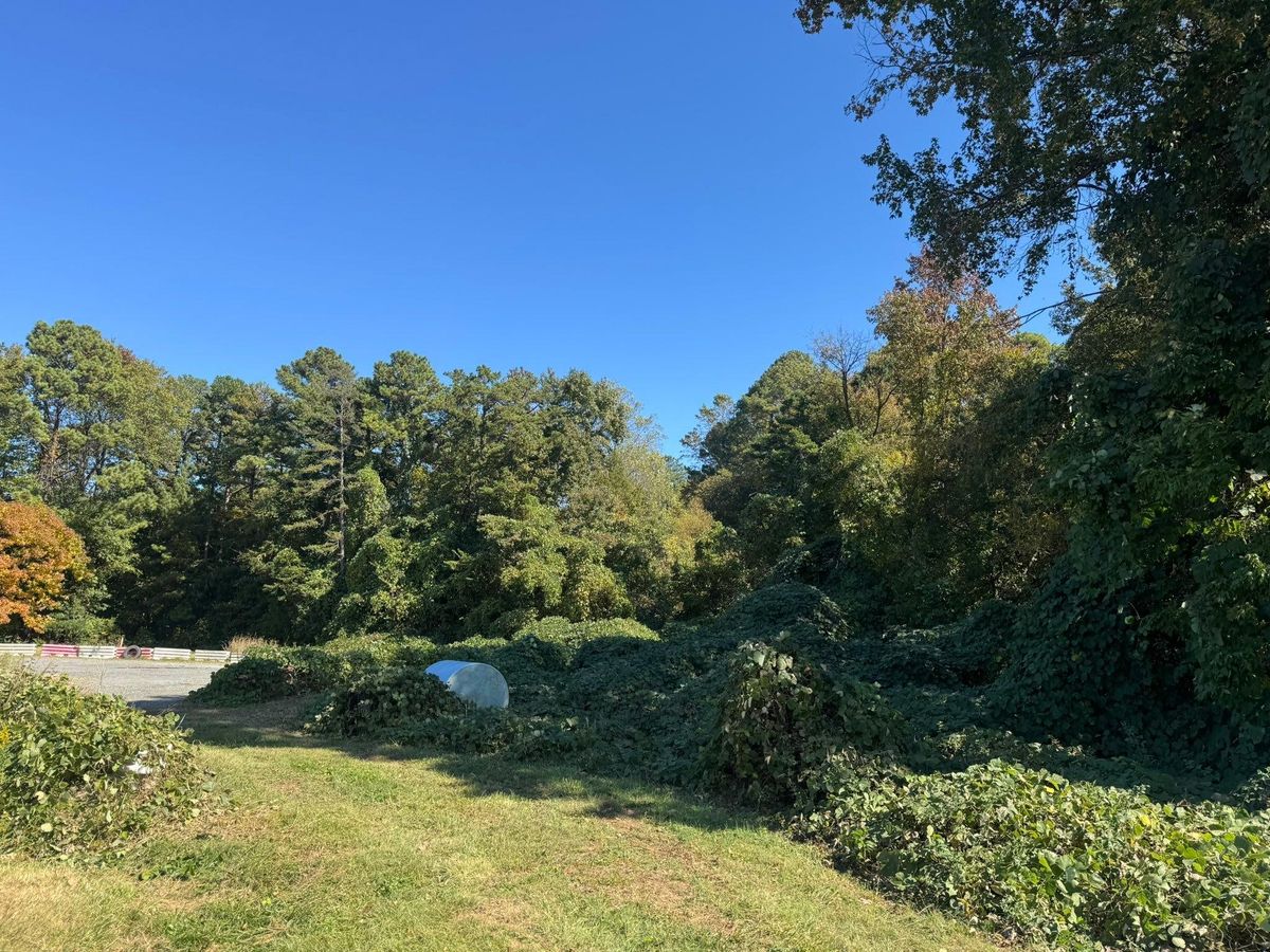 Maintenance Services for Southern Turf & Landscape in Concord, NC