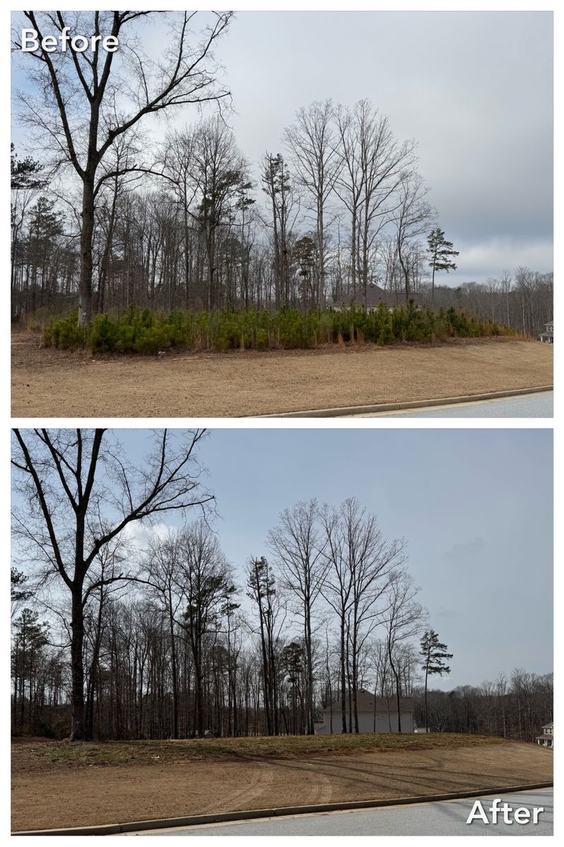 Brush Cutting and Removal for Fayette Property Solutions in Fayetteville, GA