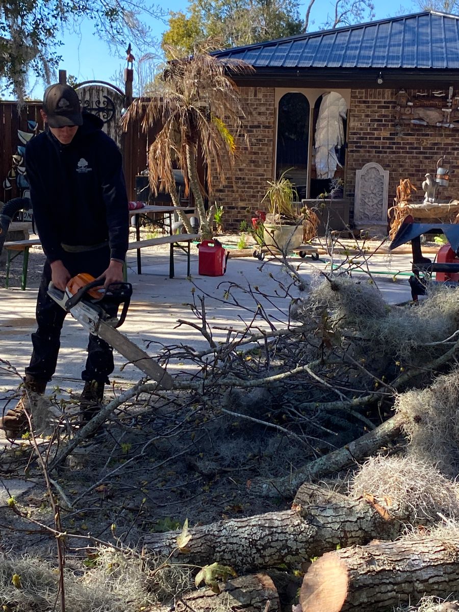 Fall Clean Up for Top Notch Tree Experts in Orange Park, FL