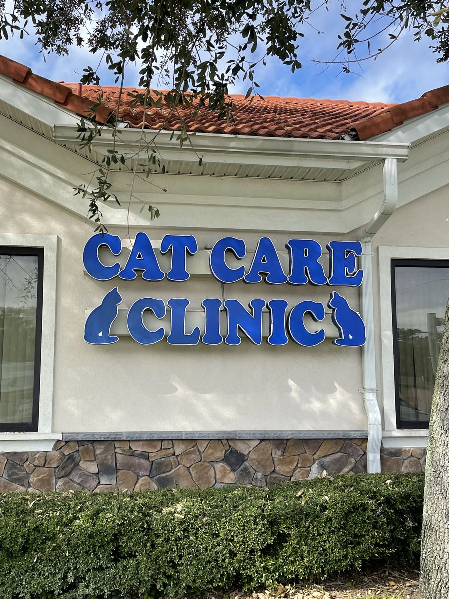 New Commercial Buildings / Commercial Renovations for Lad’s Coastal Construction in Flagler Beach, FL