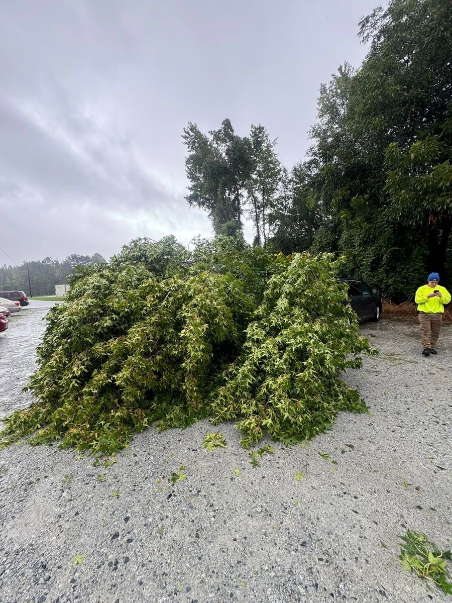 Storm Services for DW’s Tree Service in Winston-Salem, NC