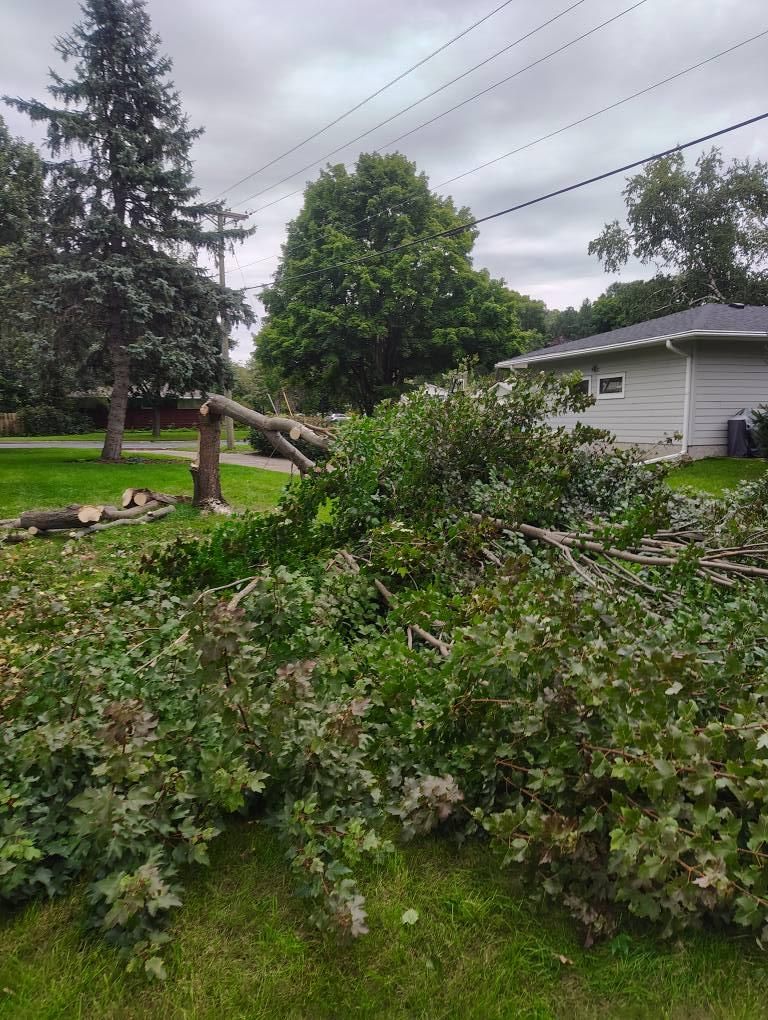 Tree Removal for Big River lawn Care services and snow LLC in Wausau, WI