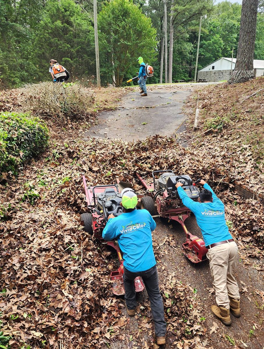 Fall Clean Up for Vivid Color Landscapes, LLC in Woodstock, GA