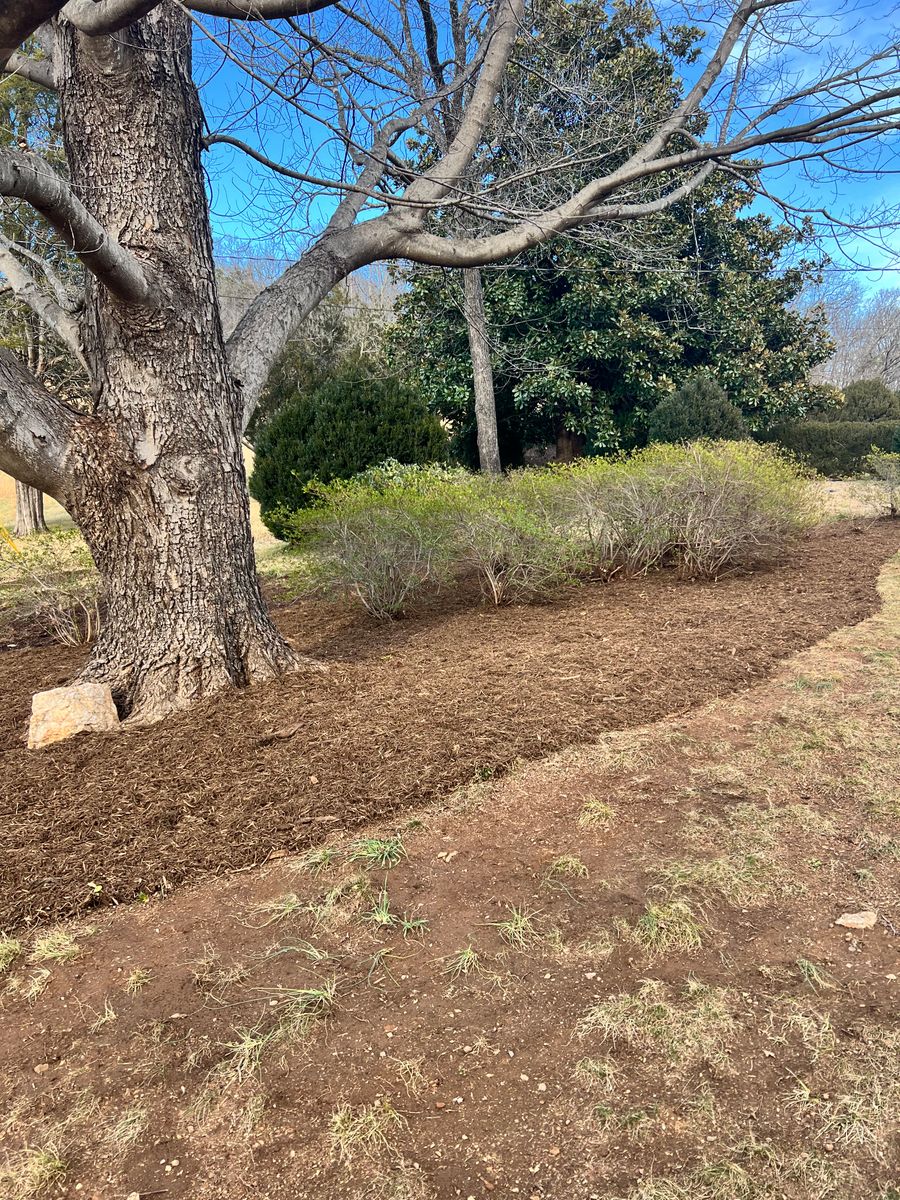 Mulch Installation for Valencia’s Lawncare in Charlottesville, VA