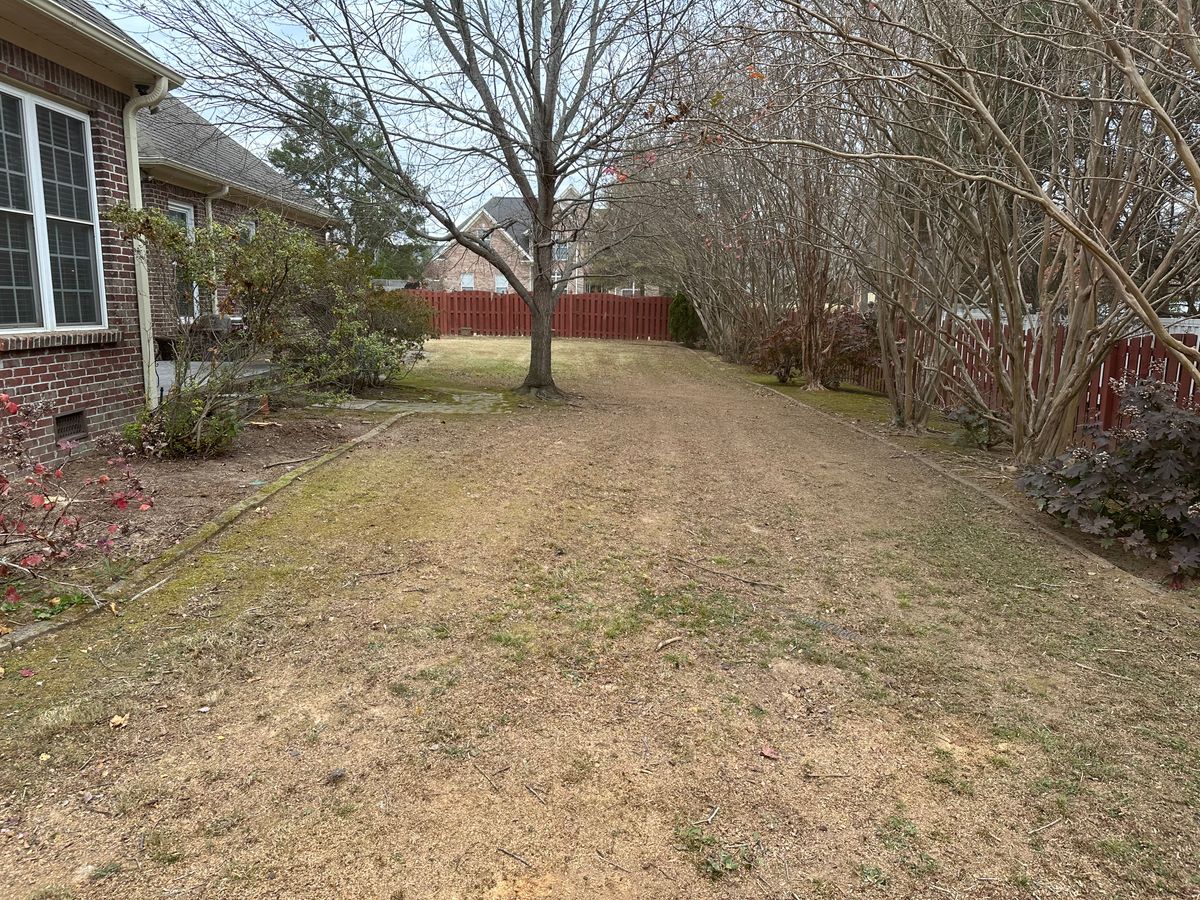 Leaf clean up for Vickers Lawns in Ardmore, Al