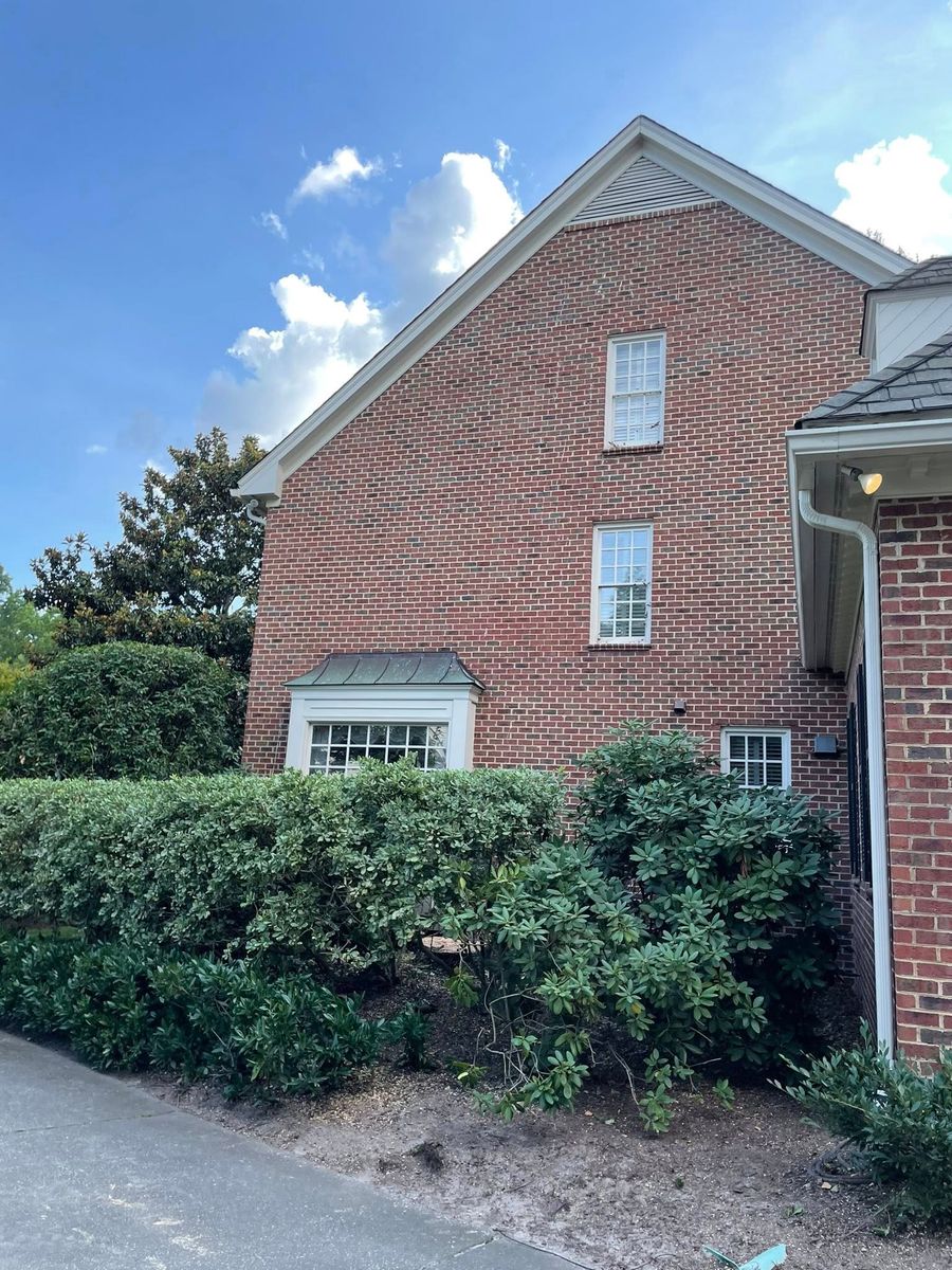 Tree Trimming for J&J Tree Services in Raleigh, NC