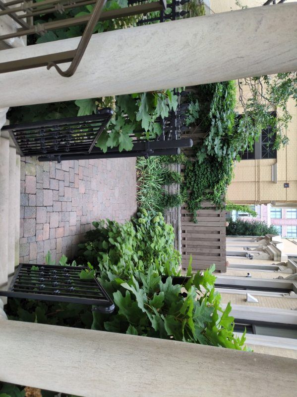 Patio Design & Construction for Green Ventures Landscaping in Williamson County, TN