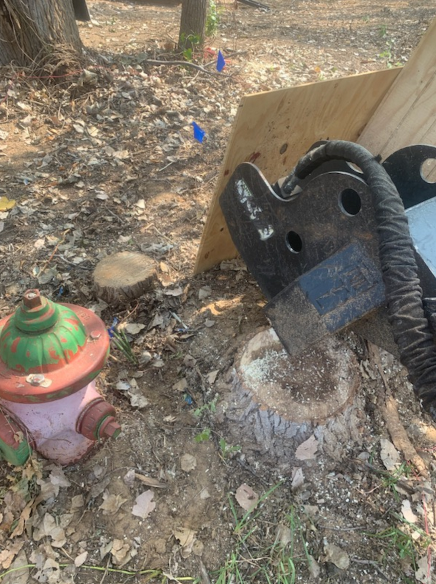 Stump Grinding & Removal for Teague Trees & Landscaping in Rendon, TX