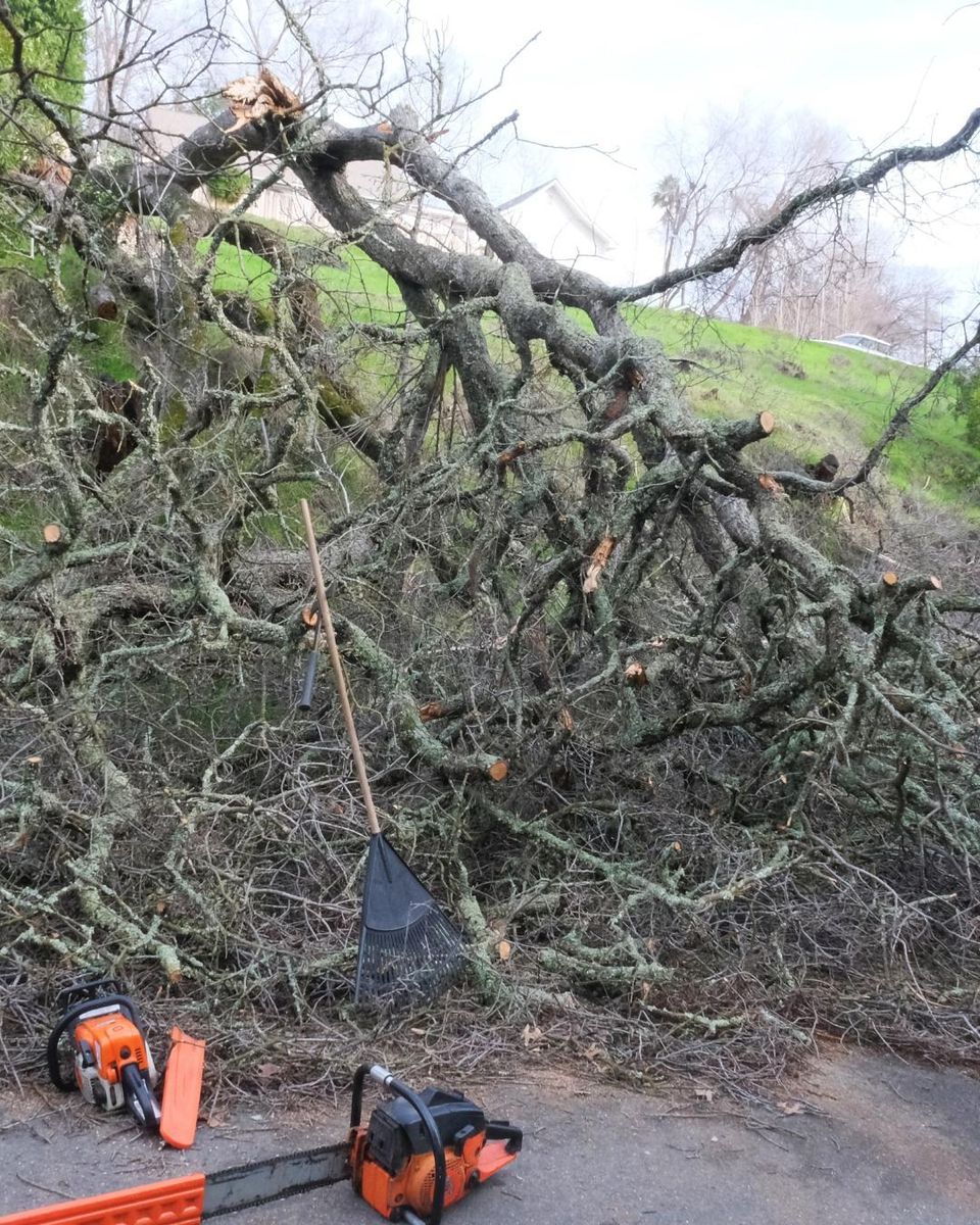 Fall Clean Up for Oakwood Tree Removal LLC in Oak Creek,  WI