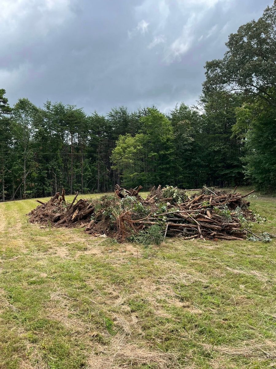 Tree Removal for Southside Land Management in Gretna, VA