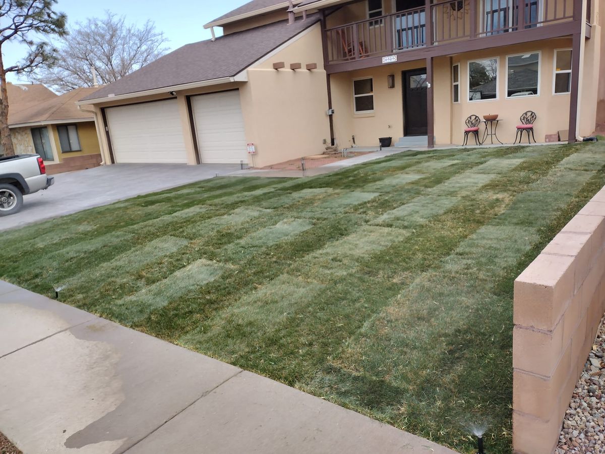 Sod Installation for 2 Brothers Landscaping in Albuquerque, NM