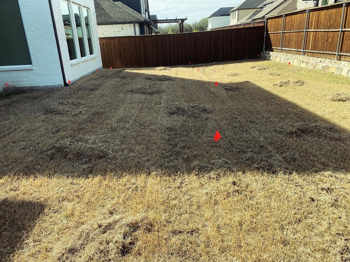 Dethatching for North Texas Groundscaping in Frisco, TX