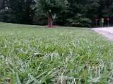 Lawn Service for New Beginning Landscape & Remodel LLC in Atlanta, GA