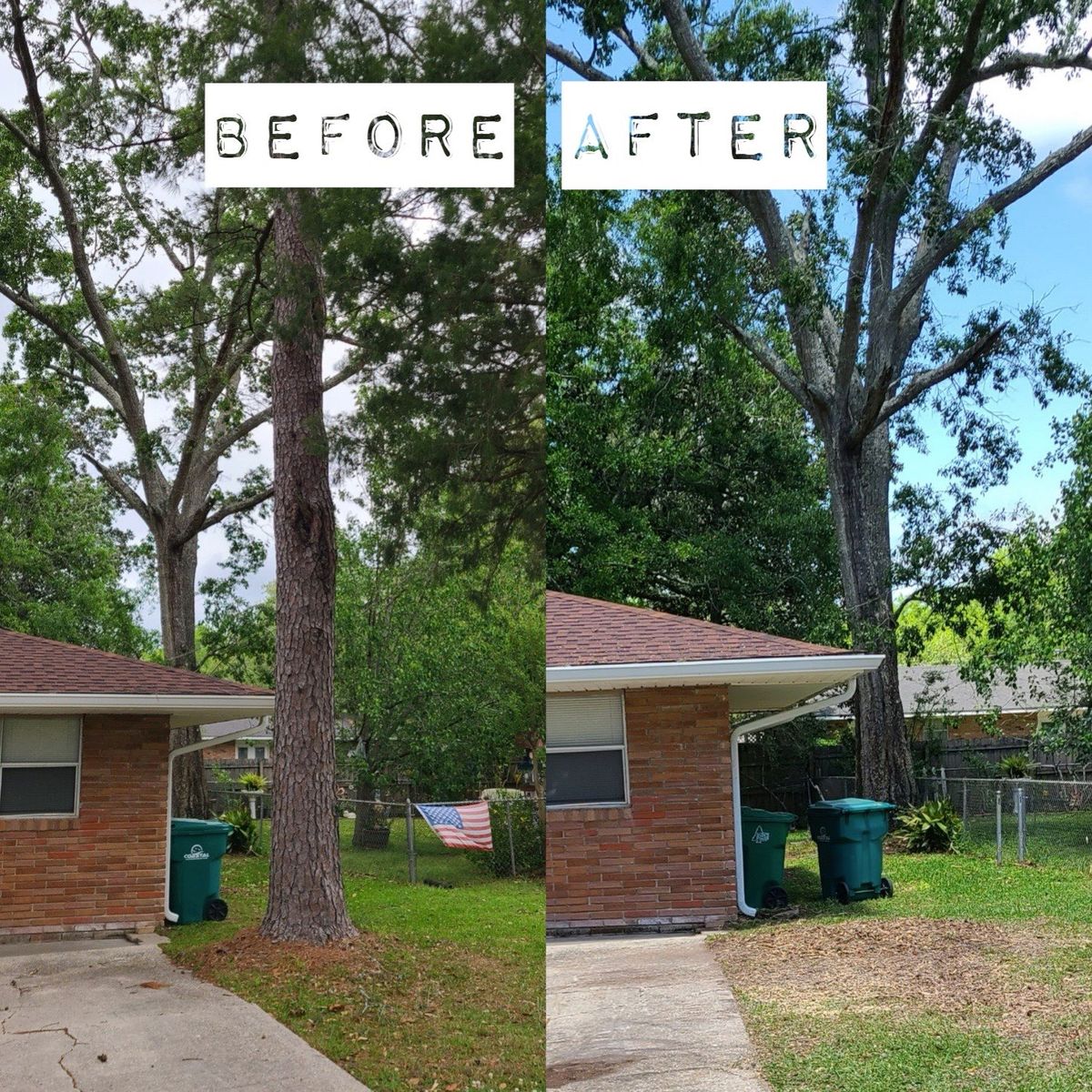 Stump Grinding for David's Tree Service in Slidell, LA